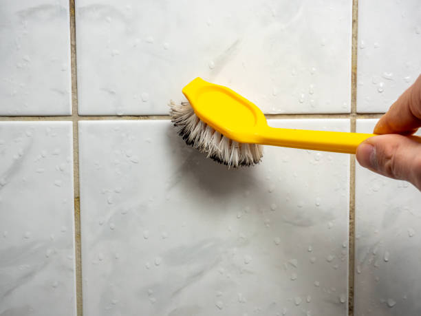 Best Office Mold Removal Services  in Hebron, MD