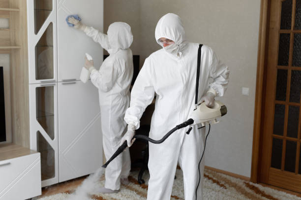 Best Residential Mold Removal  in Hebron, MD